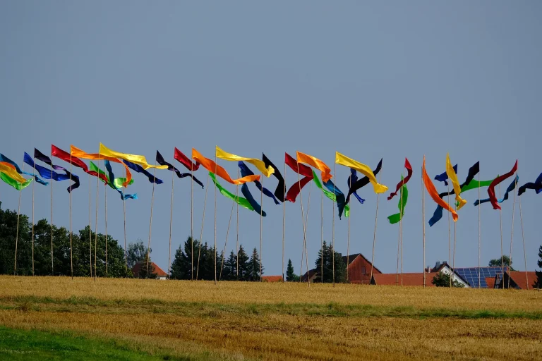 Viele Menschen stehen auf einem Feld und halten Fahnen in der Hand im Zeichen der Demokratie